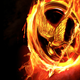 Illustration for article titled Facebook Emerges as Victor in The Hunger Games